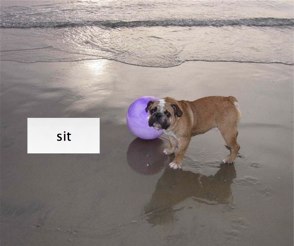 A photo of a dog standing, with a button labeled Sit.